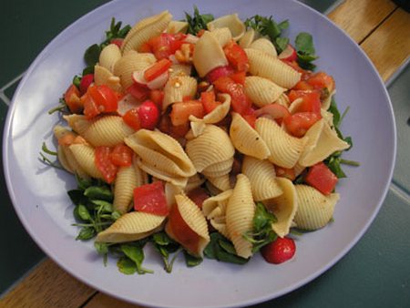 pasta-di-semola-calorie