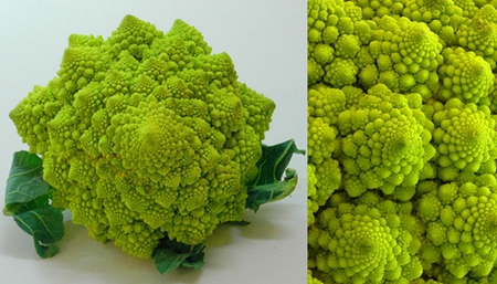 cavolo-broccolo-ramoso1