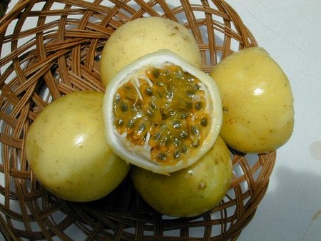 passion-fruit