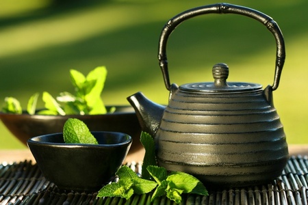 Black iron asian teapot with sprigs of mint for tea