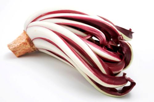 Radicchio rosso