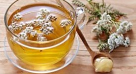tisane dimagranti