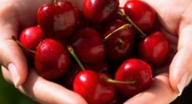 ciliegie proprietà calorie