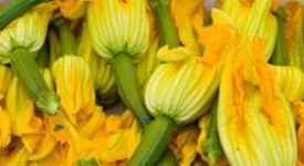 Fiori zucca calorie valori nutrizionali