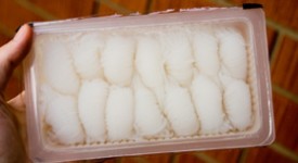 konjac