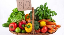 cibi biologici