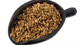 Farro proprietà calorie ricette