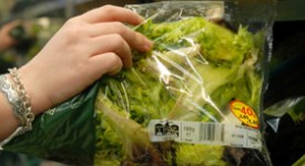 insalata in busta