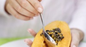 papaya fermentata