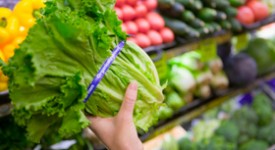 vegetali probiotici