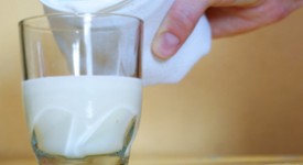 kefir