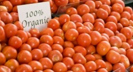Pomodori biologici