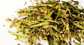 stevia