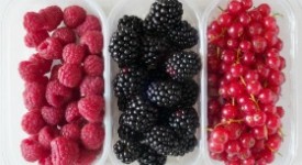 Frutti di Bosco