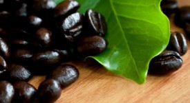polifenoli-caffè-dimagrire
