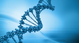 Dieta gentica test DNA come funziona opinioni