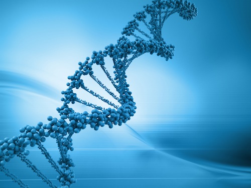 Dieta gentica test DNA come funziona opinioni