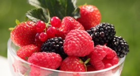 frutti di bosco