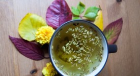 tisane autunnali
