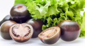 Pomodoro nero (Kumato) non Ogm amico salute