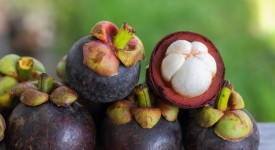 mangostano
