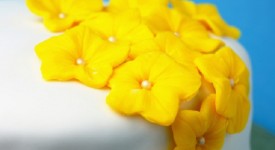 pasta di zucchero calorie