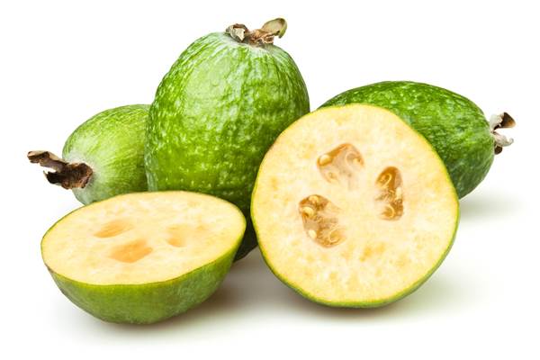 Feijoa