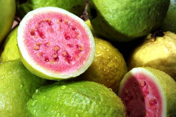 guava