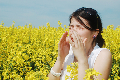Cibi da evitare allergie