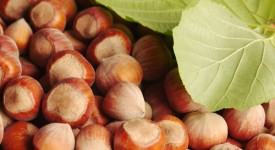 Nocciole allergie