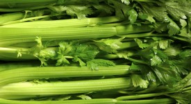 Sedano allergie