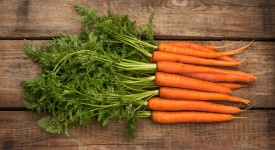dieta della carota