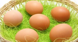 cibi da comprare per mangiare bio