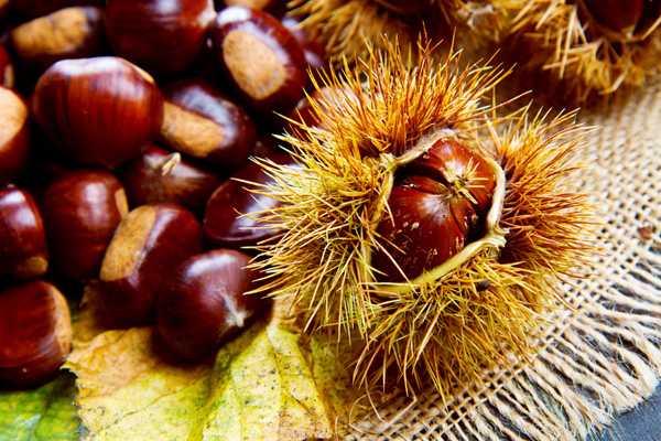 frutta-autunnale-castagne