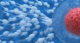 dieta che aumenta la fertilità maschile