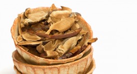 dimagrire con i funghi officinali