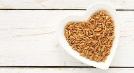 grano khorasan kamut