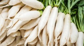 daikon