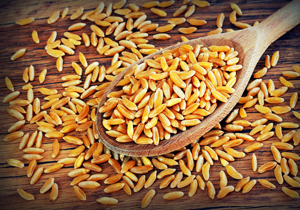 spoon wheat Khorasan