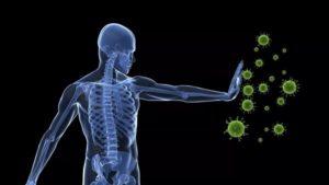 rafforzare il sistema immunitario con l'alimentazione