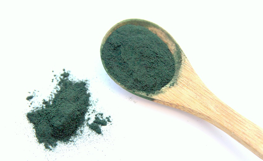 alga spirulina