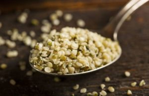 semi di canapa superfood